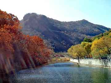 正版澳门天天开彩大全，圆孔铁板